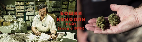 PSILOCYBIN Усмань