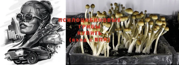стафф Гусиноозёрск
